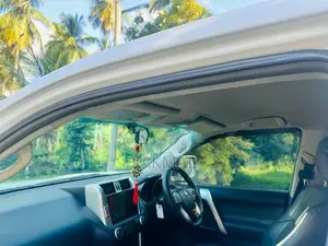 Toyota Land Cruiser Prado 2010