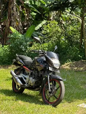 Bajaj Pulsar 135 2014