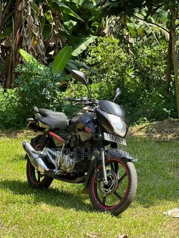 Bajaj Pulsar 135 2014