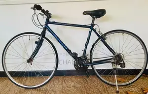 Giant Cross Bicycle