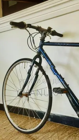 Giant Cross Bicycle