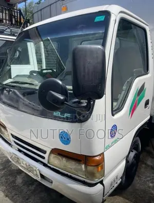 Isuzu 150 1995 Lorry (Used)