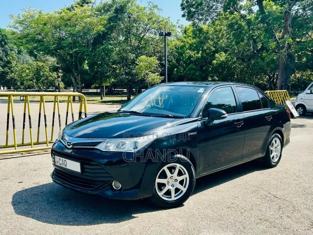 Toyota Axio 2015 Car (Used)