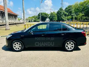 Toyota Axio 2015 Car (Used)