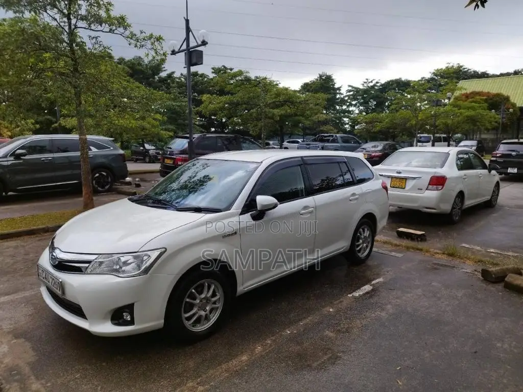 Toyota Axio Fielder 2014 Car (Used)