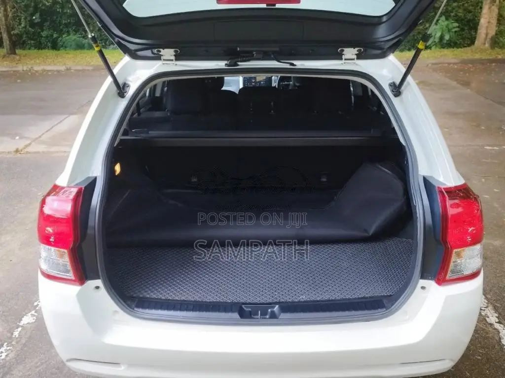 Toyota Axio Fielder 2014 Car (Used)