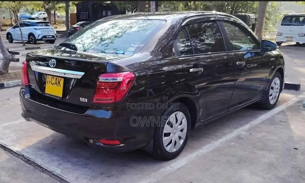 Toyota Axio 2015 Car (Used)