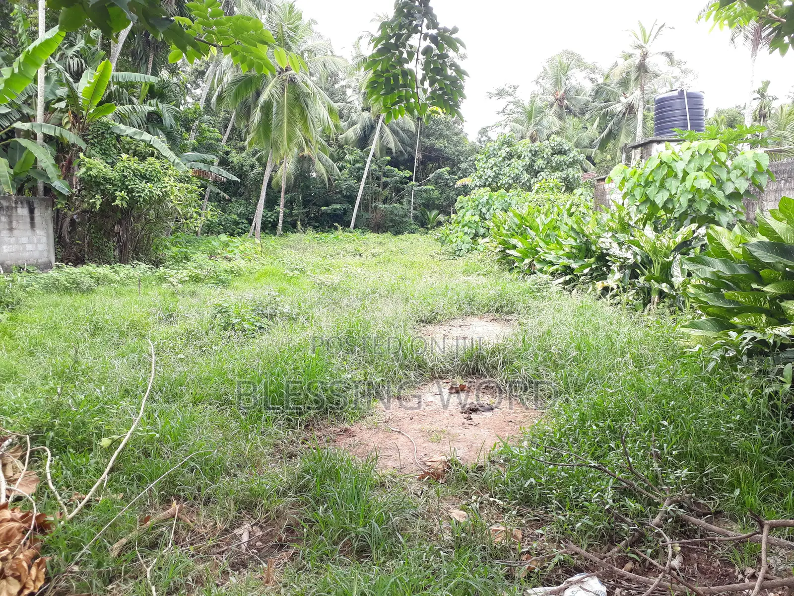 Land for Sale in Minuwangoda