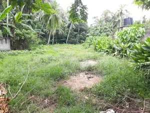 Land for Sale in Minuwangoda