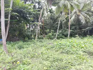 Land for Sale in Minuwangoda