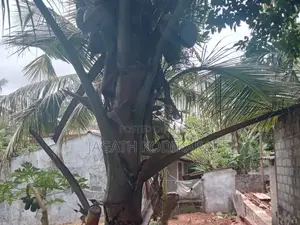 Excellent Residential Land for Sale