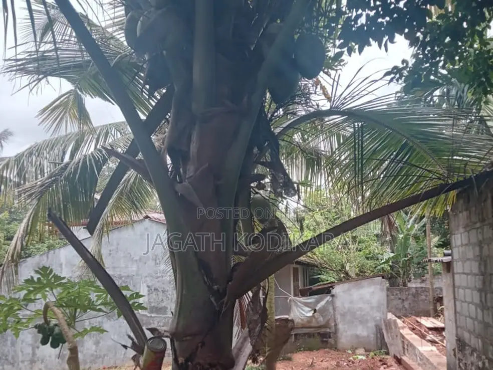 Excellent Residential Land for Sale