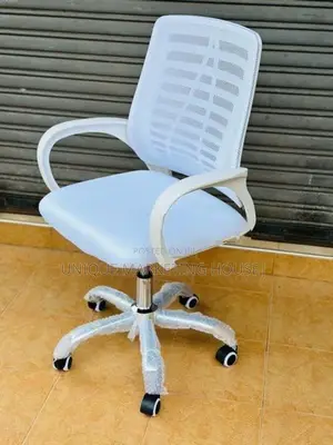 Imported White Zebra Ex Mesh Office Chairs