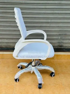 Imported White Zebra Ex Mesh Office Chairs