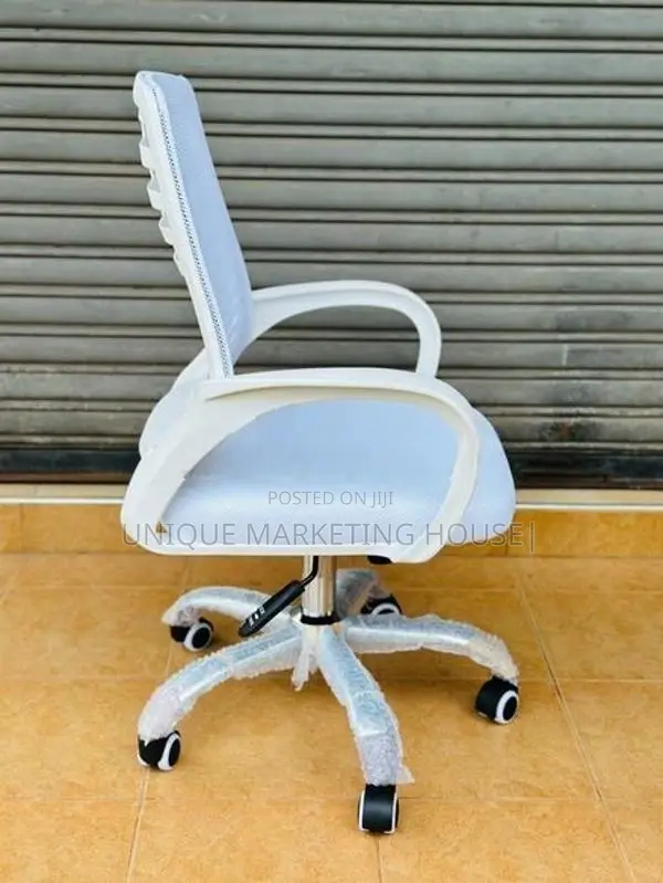 Imported White Zebra Ex Mesh Office Chairs