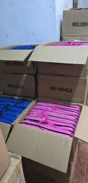 Melodica BRAND NEW