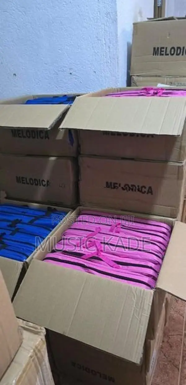 Melodica BRAND NEW