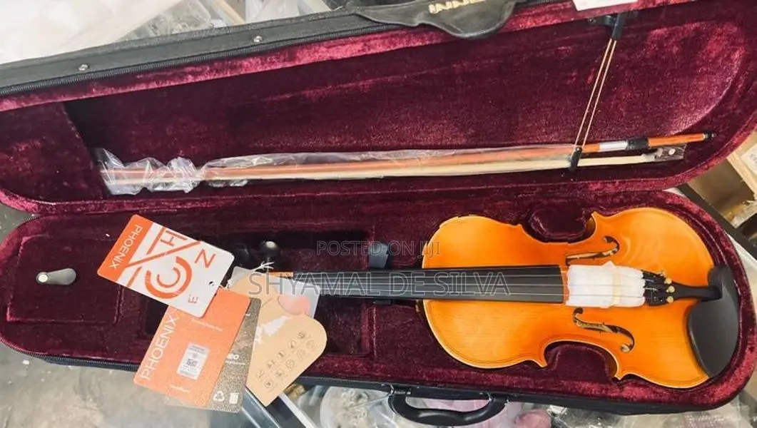 High Grade Professional Violin ( Brand New )