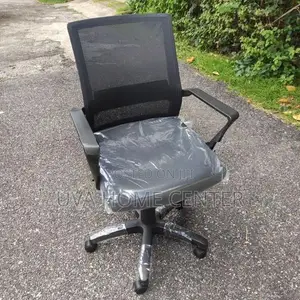Piyestra Mesh Low Bk Office Chair ECL-05