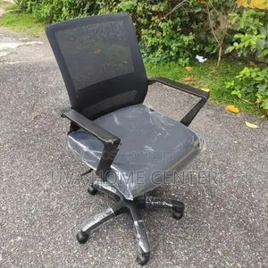 Piyestra Mesh Low Bk Office Chair ECL-05