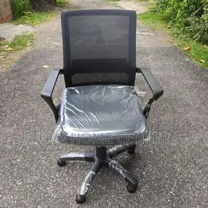 Piyestra Mesh Low Bk Office Chair ECL-05