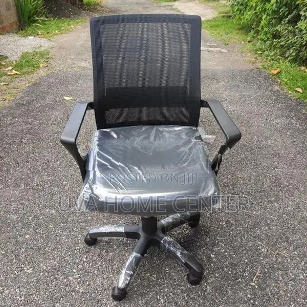 Piyestra Mesh Low Bk Office Chair ECL-05