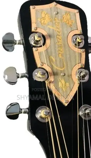 Crusader Acoustic Box Guitars ( Band New )