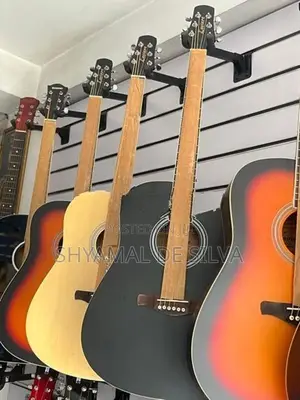 Crusader Acoustic Box Guitars ( Band New )