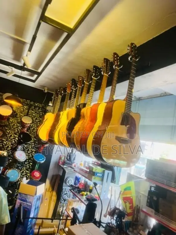 Crusader Acoustic Box Guitars ( Band New )