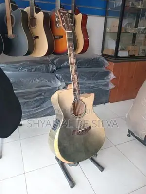 Galatasaray High End Handcrafted Semi Acoustic Guitar (turkey)