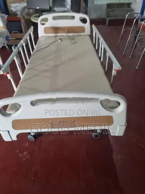 Four Function Electric Hospital Bed