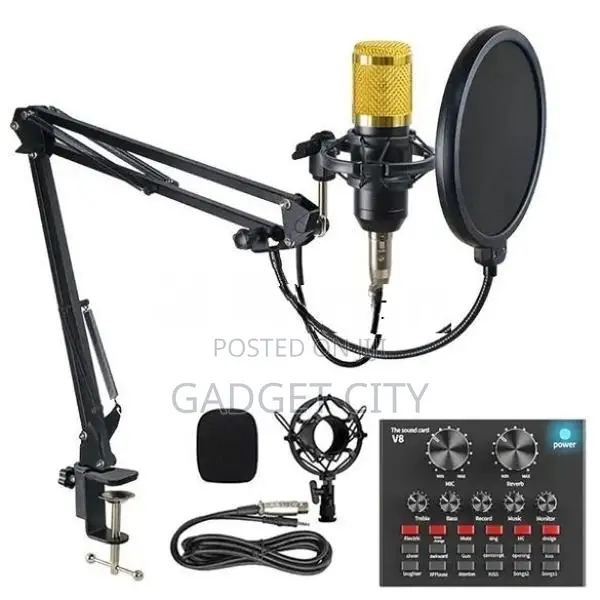 Professional Condenser Microphone with V8 Sound Card