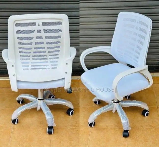White Ex Mesh Zebra Office Chairs