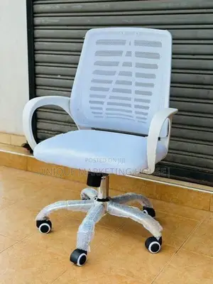 White Ex Mesh Zebra Office Chairs
