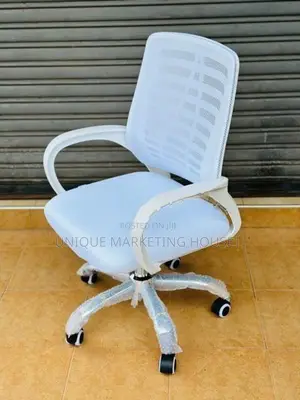 White Ex Mesh Zebra Office Chairs