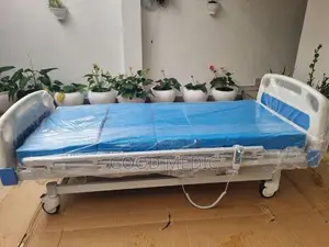 Patient four Function Electric Hospital Beds