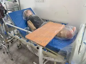 Electric ICU Bed with Mattress ( Patient Hospital )