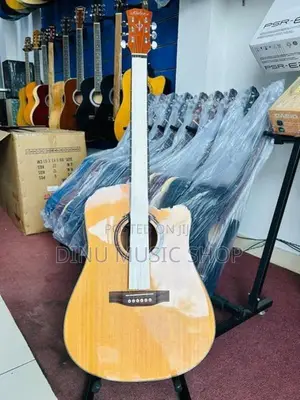 Acoustic Guitars