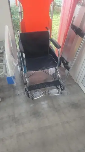 Basic Wheelchair / රෝදපුටු