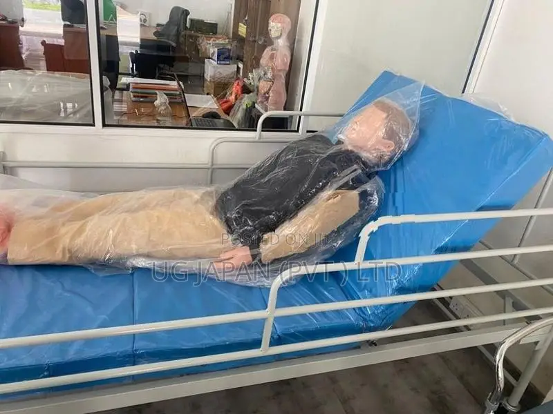 Hospital Bed Head Adjustable - Only