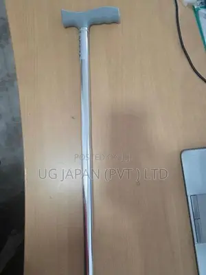 Walking Stick