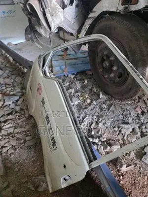 Doors for Car