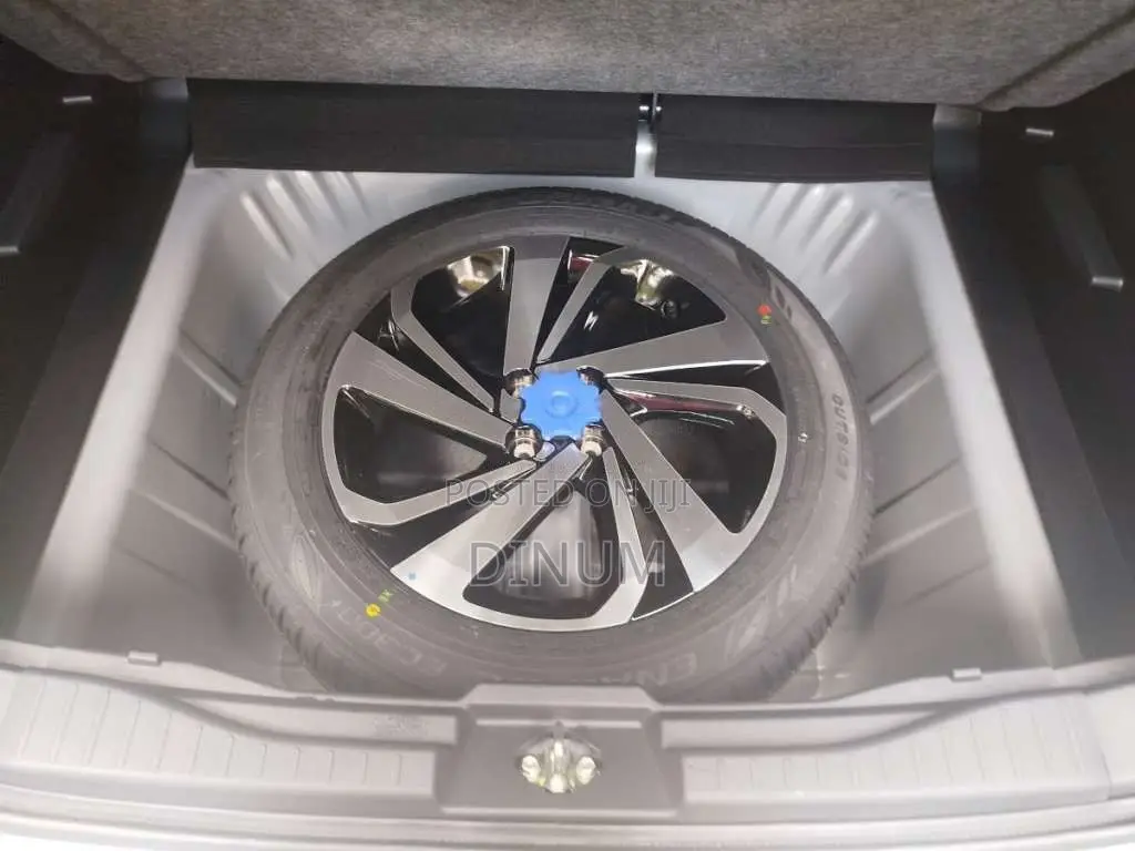 Toyota Raize 2025 SUV (Used)