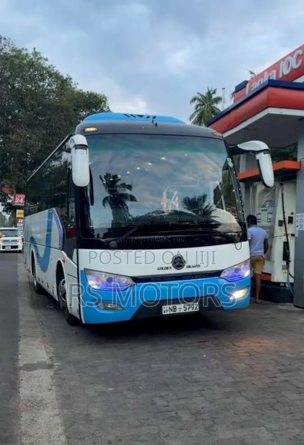 Other Golden Dragon 2018 Bus (Used)