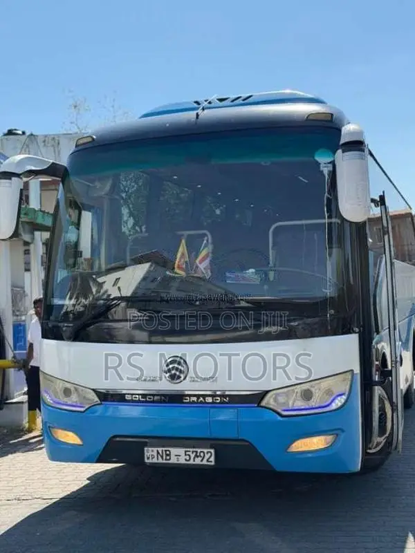 Other Golden Dragon 2018 Bus (Used)
