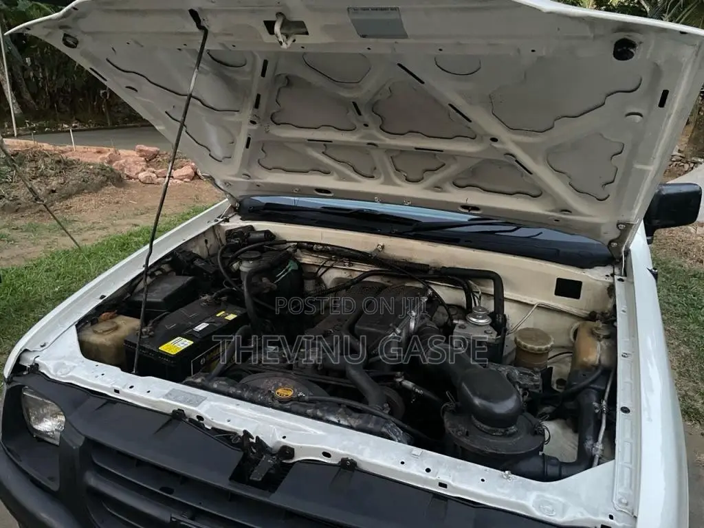 Isuzu Double Cab 1999 Pickup (Used)