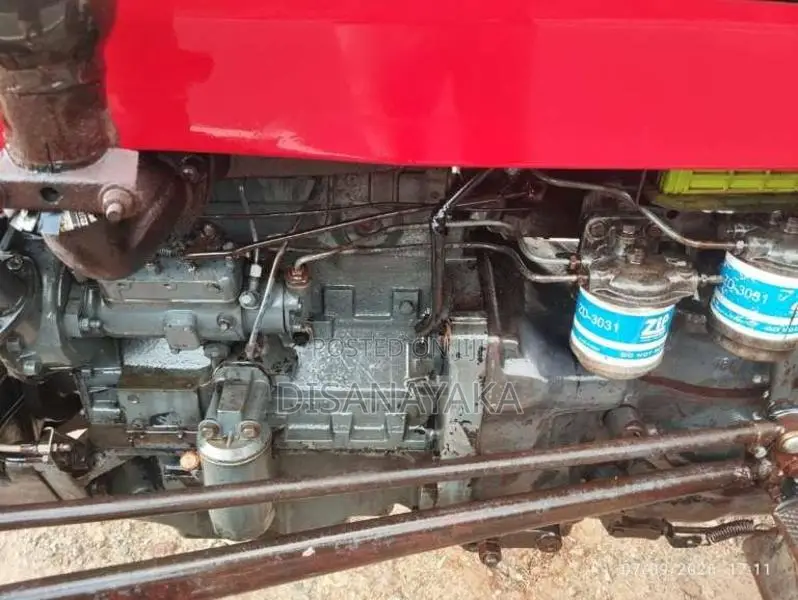 TAFE TAFE 1951 Tractor (Used)