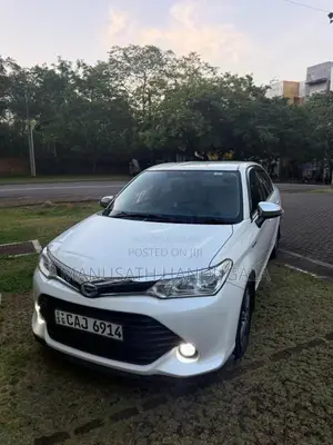Toyota Axio 2015 Car (Used)