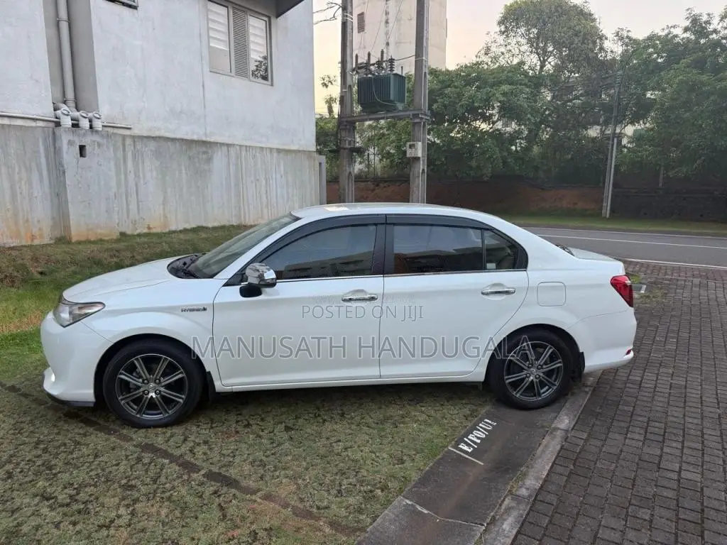 Toyota Axio 2015 Car (Used)