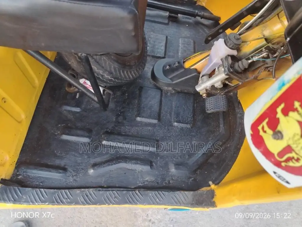 TVS KING 2010 Three Wheel (Used)